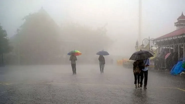 Tomorrow Weather 19 July: IMD Heavy Rain Alert in 13 States, 85 km/h Winds & Latest Forecast